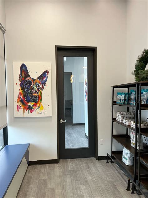 south creek animal clinic 3