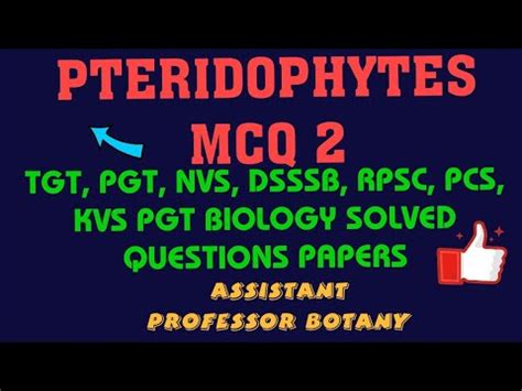 Pteridophytes Mcq Tgt Pgt Pcs Assistant Professor Botany Youtube