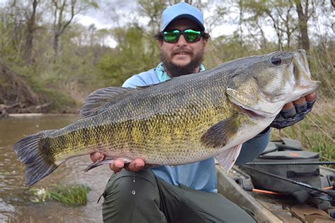 How To Fish For Bass In A River Fishing Form