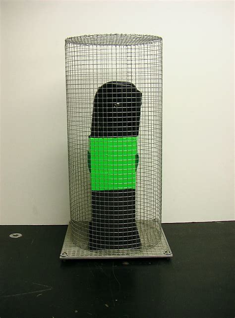 Which Of The Following Best Describes A Faraday Cage 3