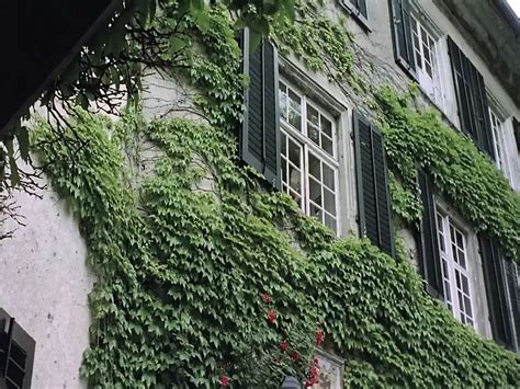 Free Xxx Six P Hd Porn Videos Xhamster