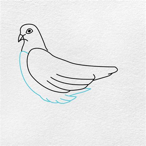 Dove Drawing Helloartsy