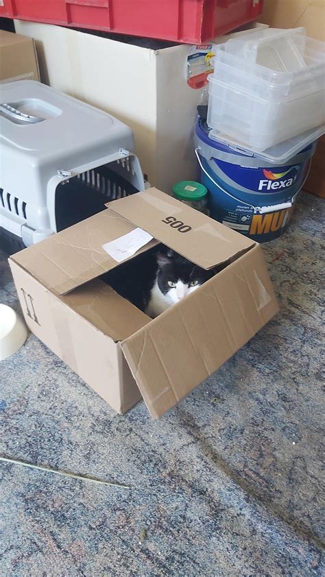 Adopted This Year Old Tight Pussy He S Doing Quite Well Scrolller