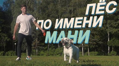 Пёс по имени Мани или Азбука денег | Как начать зарабатывать деньги ...