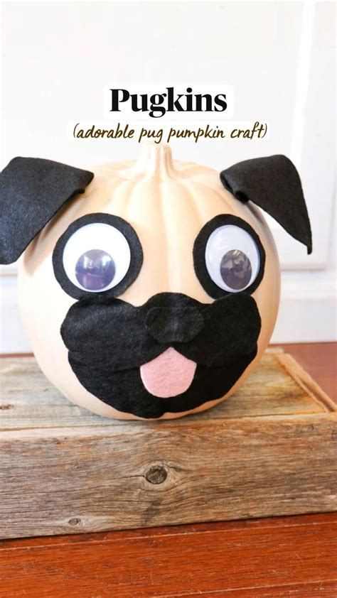 Pugkins Adorable Pug Pumpkin Craft For Halloween