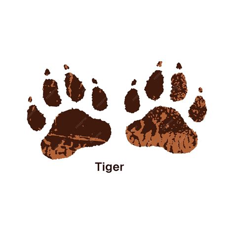 Macmillan Tiger Tracks 5 The Sos Buscar 10