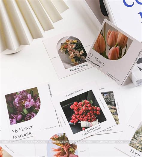 Thi P Gi Y M T M T Hot Trend Pkk Lela Flory