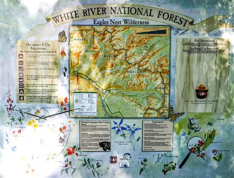 Hiking Booth Falls Trail to Booth Lake: A Primo Vail Day Hike