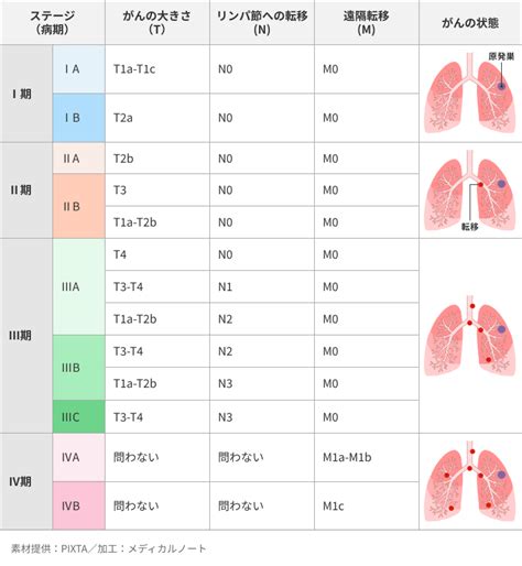 肺がんの種類と分類 – 肺がんの種類と余命 – EWDF