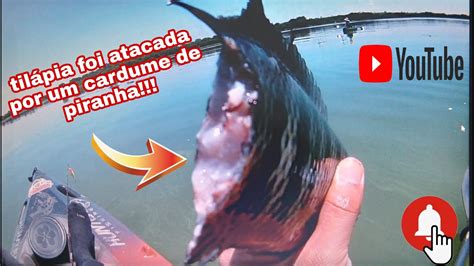 Pescaria Top Rendeu Saiu Muito Peixe YouTube