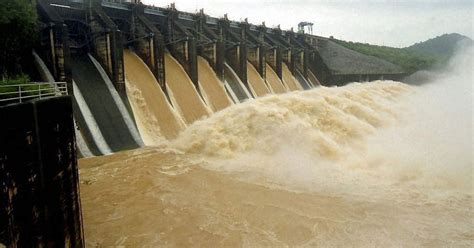 Hydropower dams worldwide cause continued species extinction