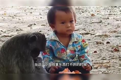 小猴子把小女孩当亲生孩子，每天寸步不离，镜头记录全过程