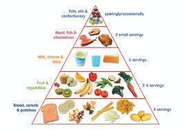 FOOD PYRAMID | OER Commons