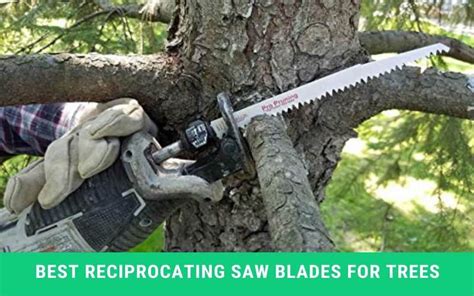 Best Reciprocating Saw Blades For Trees Machine Handyman