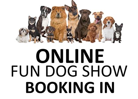 carla lane animals   liverpool