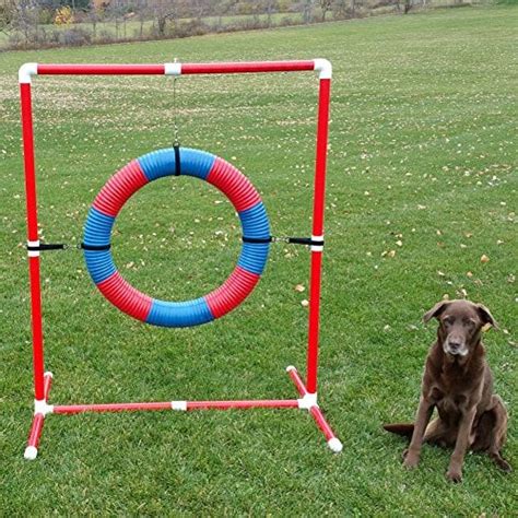 15 Best Dog Agility Equipment Kits in 2020 (For Beginners and Advanced)