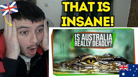 Reaction To Is Australia Trying To Kill You Youtube