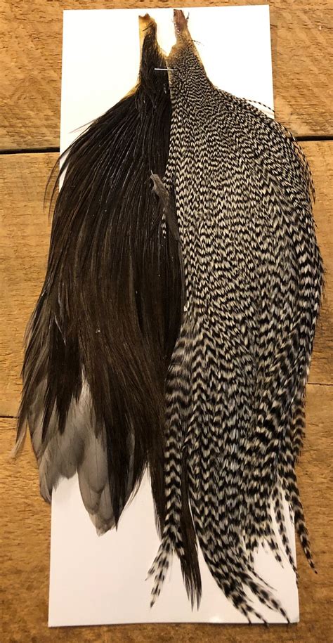 Metz 5050 Dry Fly Combo Capes On Line Fly Tying Magazine And Fly