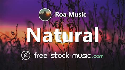 Natural By Roa Music Electronic Pop Bright Positive Free