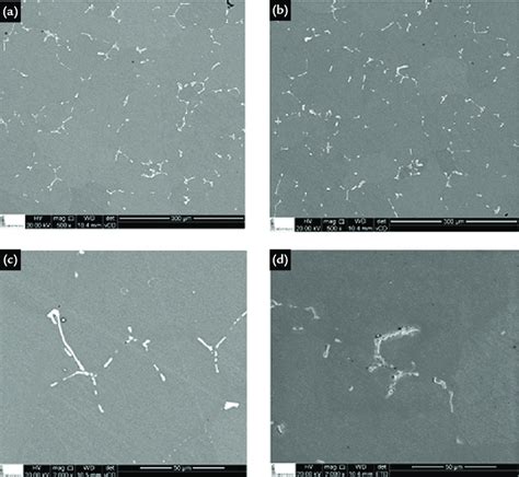 Micrographs obtained with scanning electron microscopy using BSE at the ...