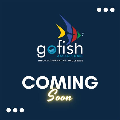 Electric Blue Ram Go Fish Aquariums
