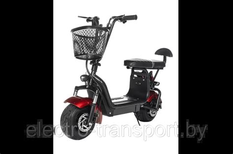 Электроскутер Wolong C1 PRO (ID#222434103), цена: 1650 руб., купить на ...