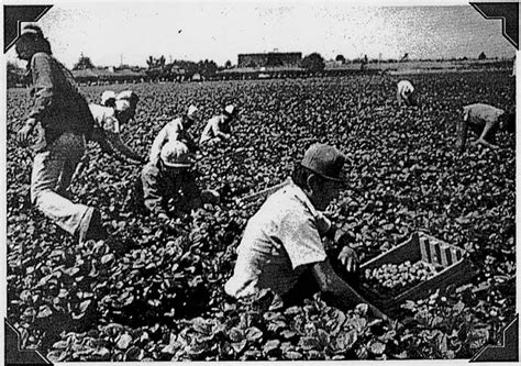 Farm Labor 1800