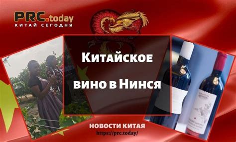 Китайское вино в Нинся