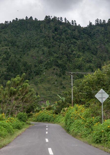 Premium Photo Road Amidst Trees Against Sky