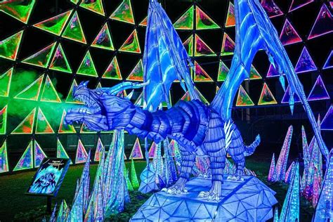 Four Mile Historic Park Lights Up with Biggest Attraction Ever ...