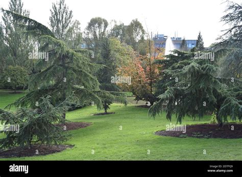 University of Surrey Campus Stock Photo - Alamy