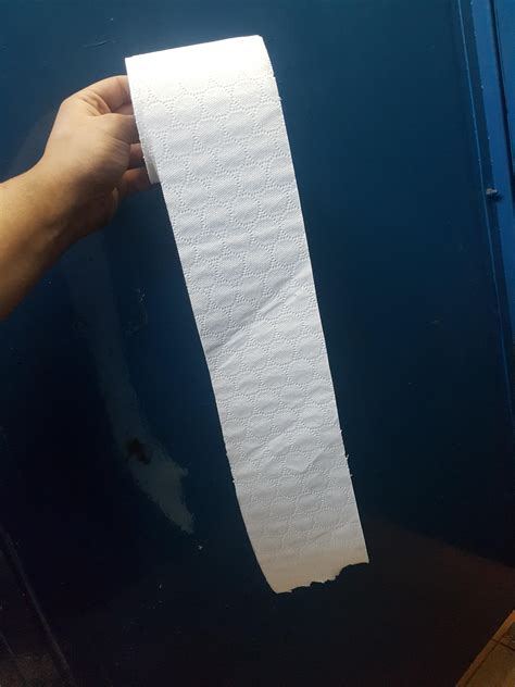 This toilet paper has no segments to rip... : r/mildlyinfuriating