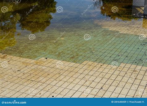 Abandoned Pool With Stagnant And Dirty Water Stock Image Image Of