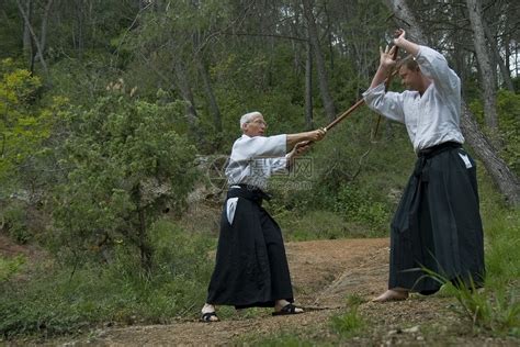 Aikido 师资培训瞳孔专注说明成人武士格斗运动操作男人森林高清图片下载 正版图片320345272 摄图网