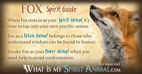 Fox Symbolism & Meaning | Spirit, Totem & Power Animal