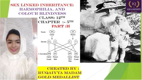 Sex Linked Inheritance Haemophilia And Colour Blindness YouTube