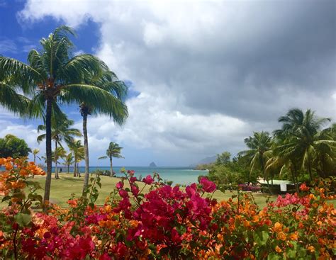 Greetings from Martinique | Life in a Cold Climate