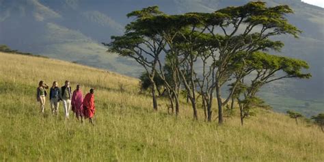 Eight Fascinating Facts About The Ngorongoro Crater Tanzania