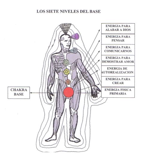 Sistema de Sanación Natural Tinerfe Los Siete Niveles del Chakra Base