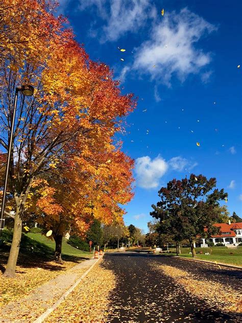 Photos Capturing Fall For Y'all