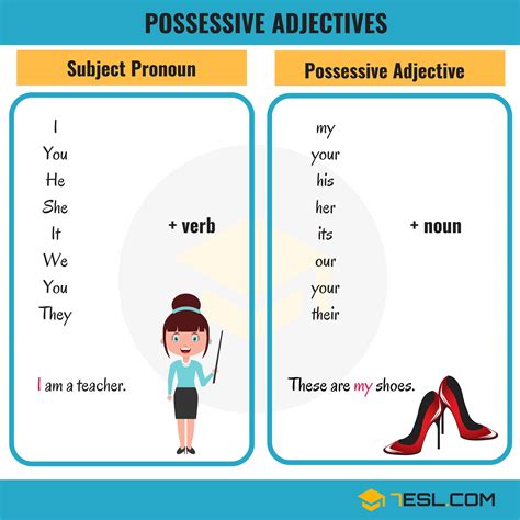 O Que é Possessive Adjectives - 8