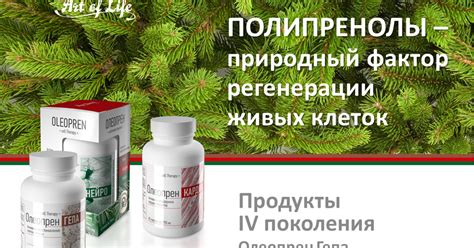 Олеопрены(полипренолы)- препараты IV поколения
