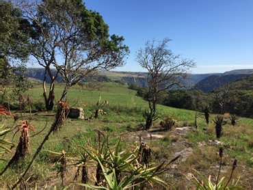 Oribi Gorge Nature Reserve - VISIT KZN SOUTH COAST