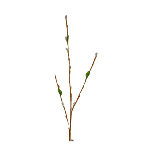 80cm Pussy Willow Stem