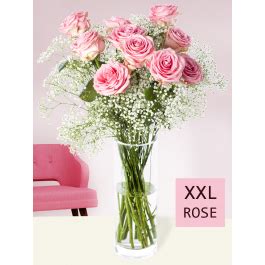 Rosa Rosen Mit Schleierkraut Xxl Bl Te Surprose