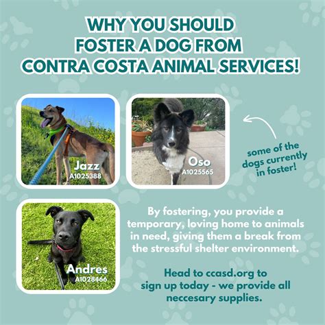 Contra Costa Animal Services (@contra_costa_animal_services