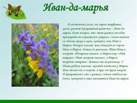 Легенды о цветах - презентация онлайн