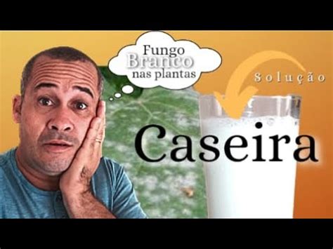 Como Acabar Fungo Branco Das Plantas Youtube