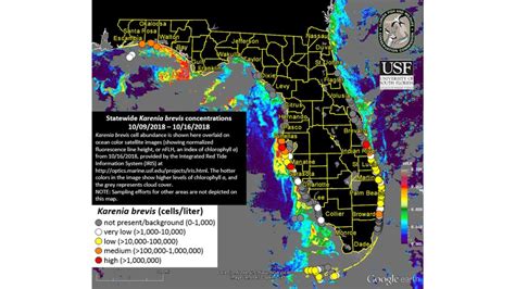 Red tide is spreading in Florida. Hurricane Michael didn't stop it. | CNN