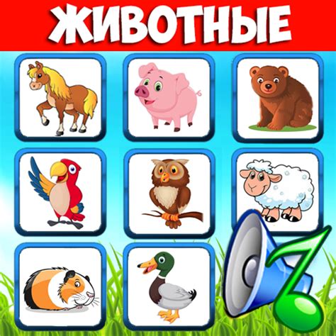 Приложения в Google Play – Звуки животных - учим зверей